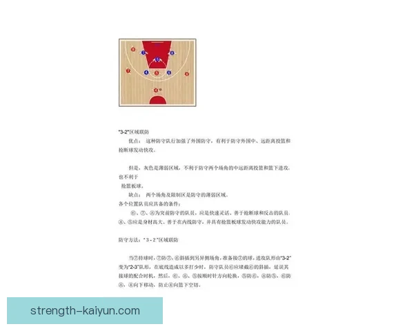 詹姆斯战术适配性分析 显示其在球队表现中的关键作用